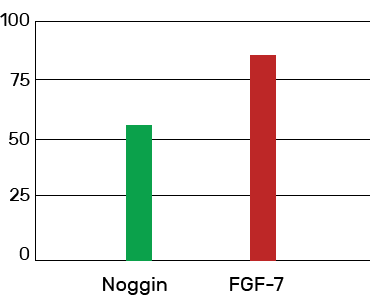 Locerin chart